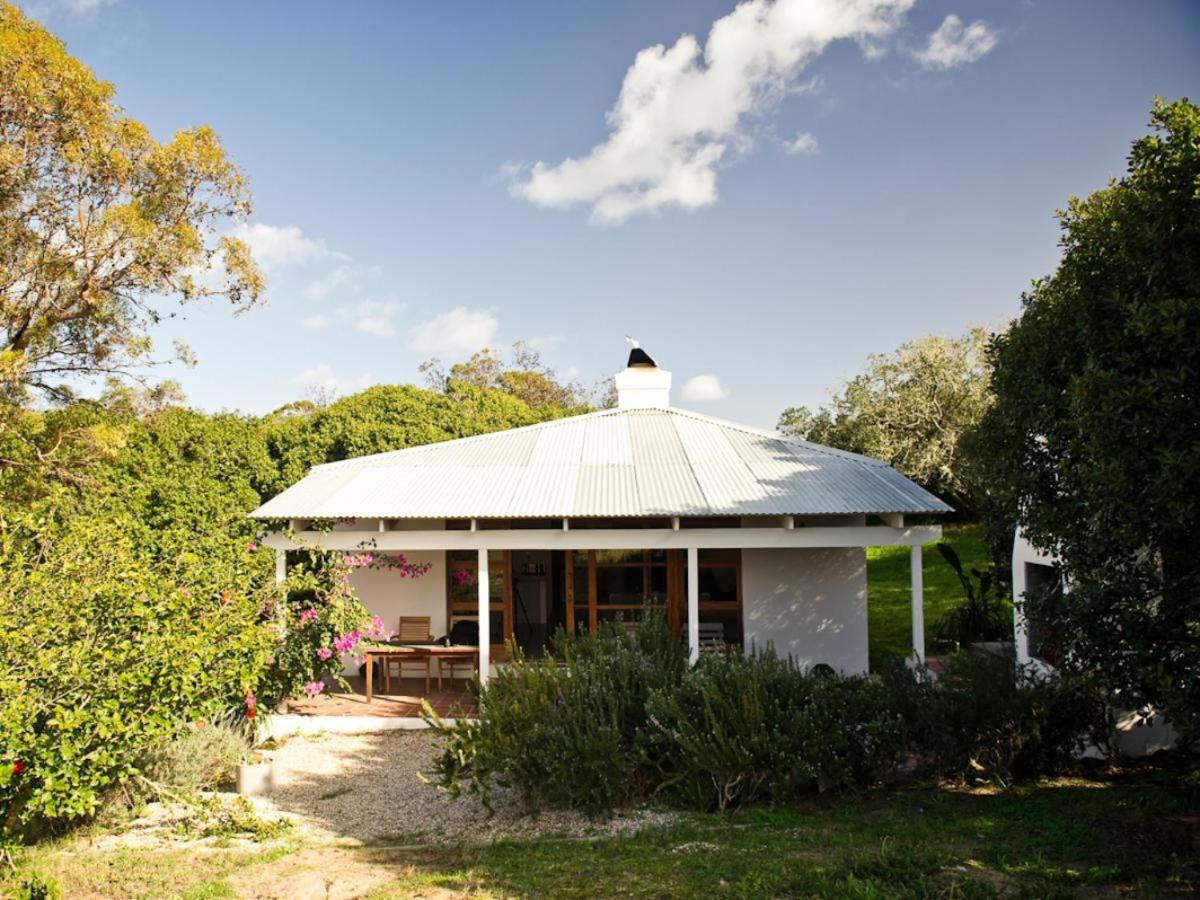 Springfontein Wine Estate Hotel Станфорд Стая снимка