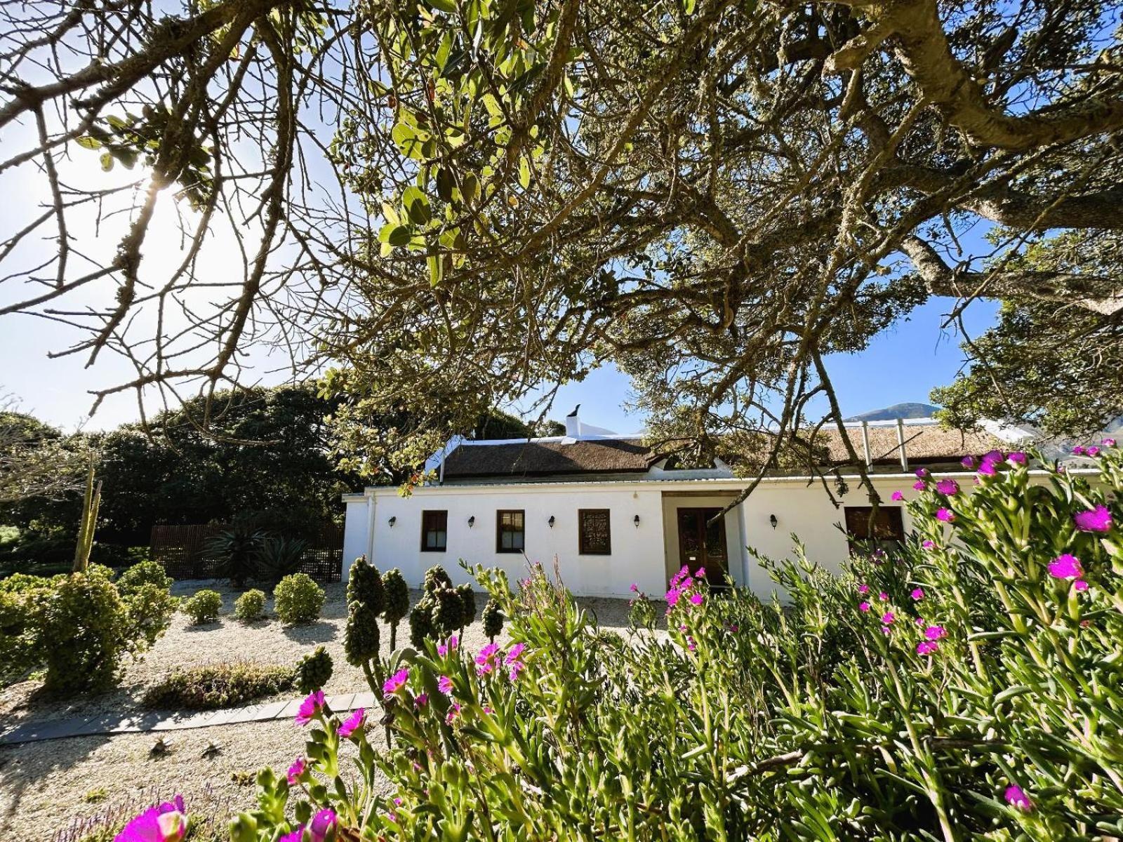 Springfontein Wine Estate Hotel Станфорд Екстериор снимка
