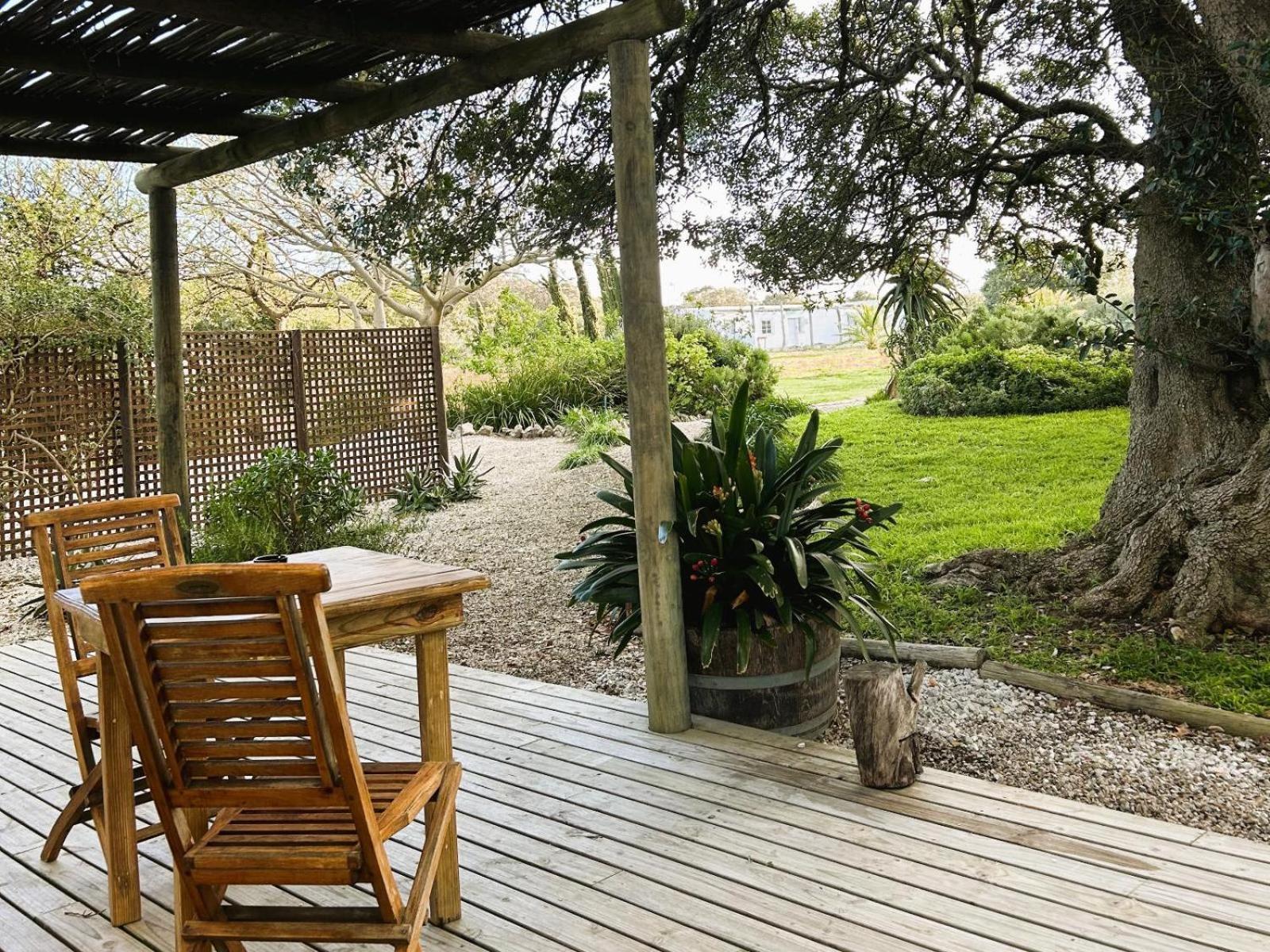 Springfontein Wine Estate Hotel Станфорд Стая снимка